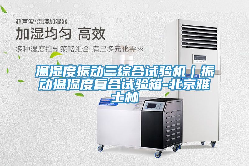 溫濕度振動三綜合試驗機｜振動溫濕度復合試驗箱-北京雅士林