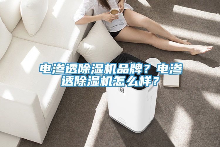 電滲透除濕機(jī)品牌？電滲透除濕機(jī)怎么樣？