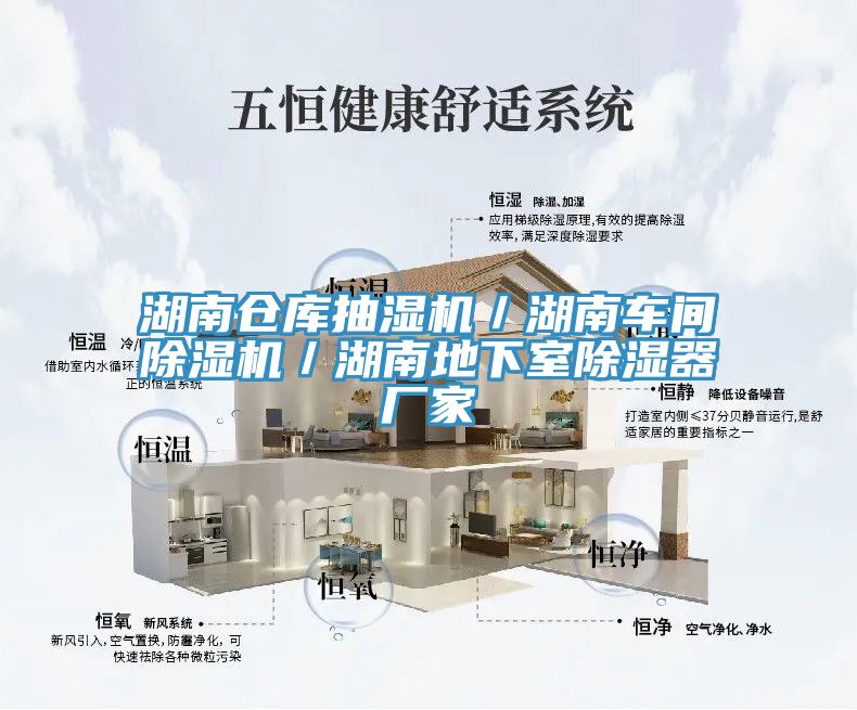 湖南倉庫抽濕機／湖南車間除濕機／湖南地下室除濕器廠家
