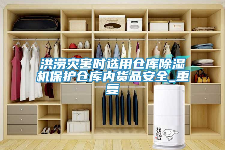洪澇災害時選用倉庫除濕機保護倉庫內貨品安全_重復