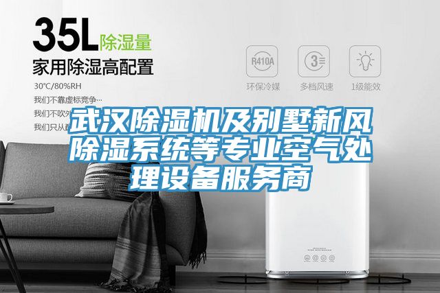 武漢除濕機及別墅新風(fēng)除濕系統(tǒng)等專業(yè)空氣處理設(shè)備服務(wù)商