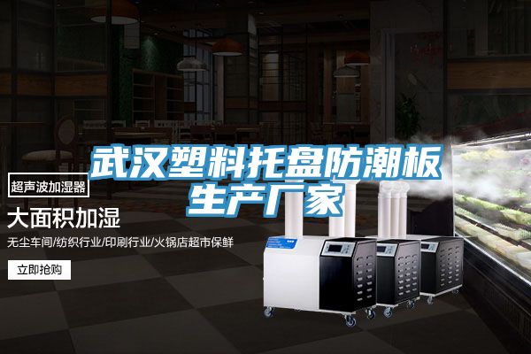 武漢塑料托盤防潮板生產廠家