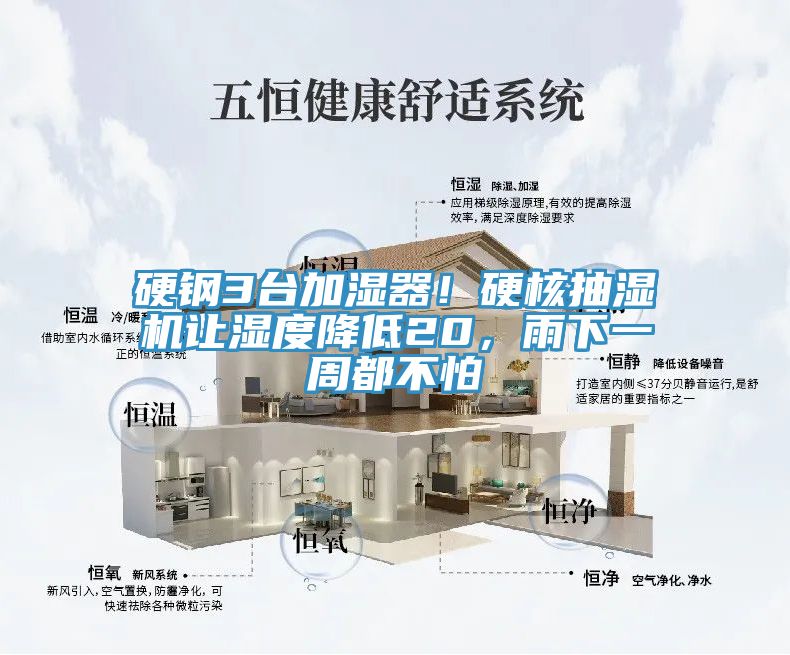硬鋼3臺加濕器！硬核抽濕機讓濕度降低20，雨下一周都不怕