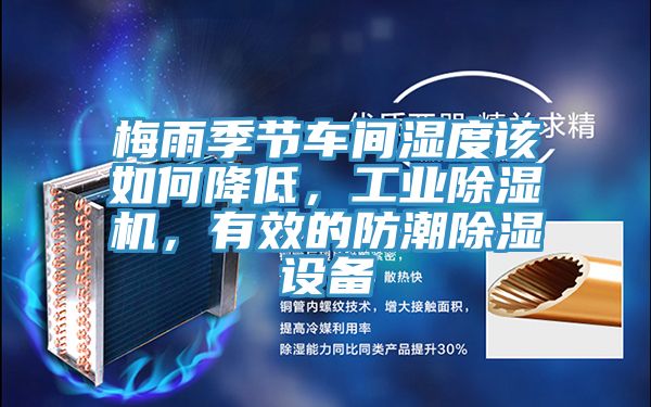 梅雨季節車間濕度該如何降低，工業除濕機，有效的防潮除濕設備