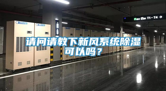 請問請教下新風系統除濕可以嗎?