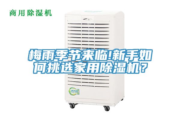梅雨季節來臨!新手如何挑選家用除濕機？