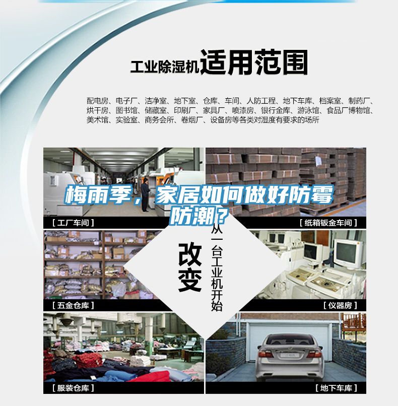 梅雨季，家居如何做好防霉防潮？
