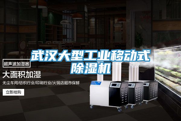 武漢大型工業移動式除濕機