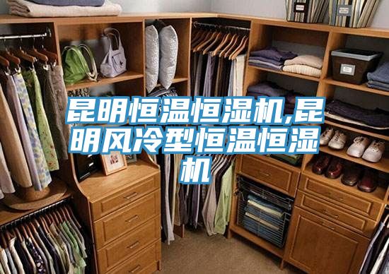 昆明恒溫恒濕機,昆明風冷型恒溫恒濕機