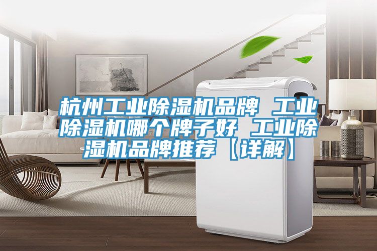 杭州工業(yè)除濕機(jī)品牌 工業(yè)除濕機(jī)哪個牌子好 工業(yè)除濕機(jī)品牌推薦【詳解】