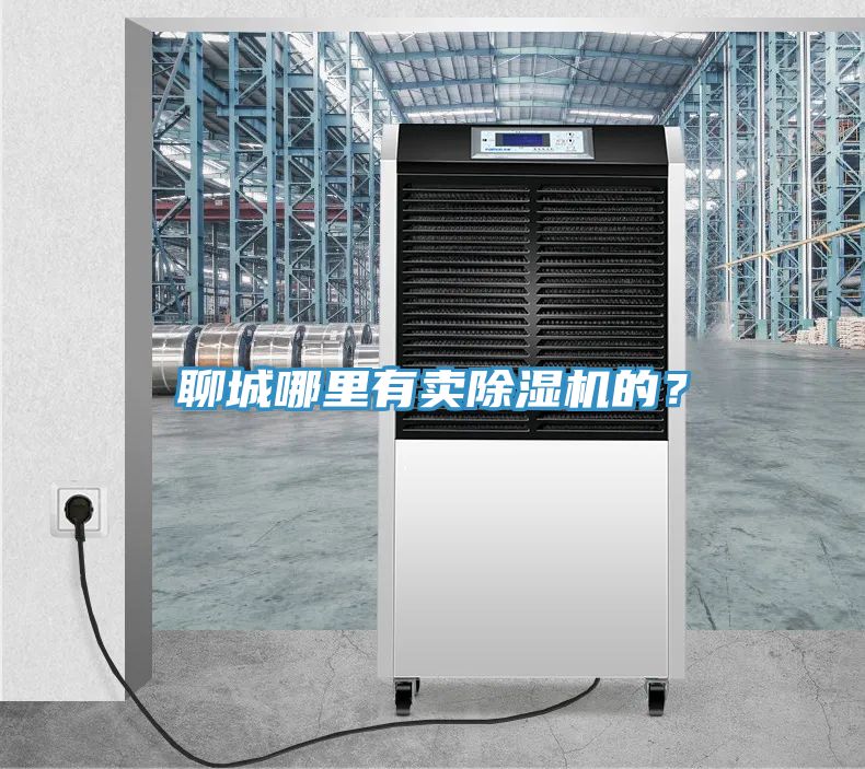 聊城哪里有賣除濕機(jī)的？