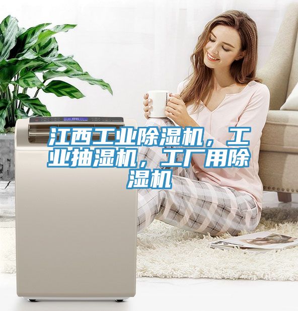 江西工業(yè)除濕機(jī)，工業(yè)抽濕機(jī)，工廠用除濕機(jī)