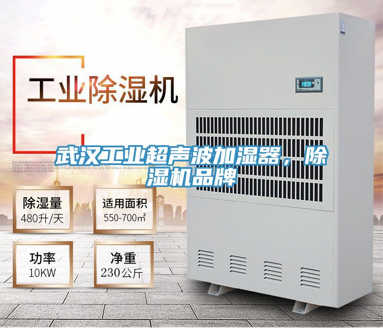 武漢工業(yè)超聲波加濕器，除濕機品牌
