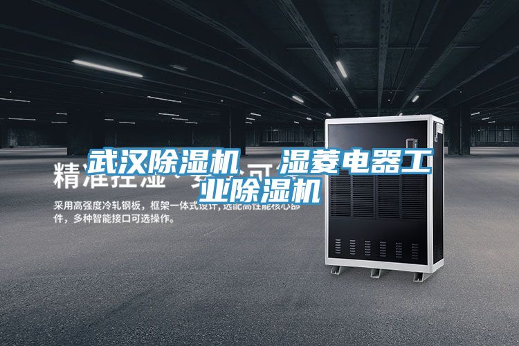 武漢除濕機  濕菱電器工業(yè)除濕機
