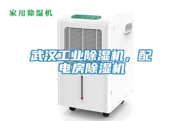 武漢工業(yè)除濕機，配電房除濕機