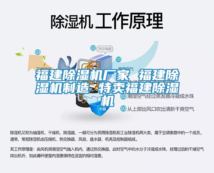 福建除濕機廠家 福建除濕機制造 特賣福建除濕機