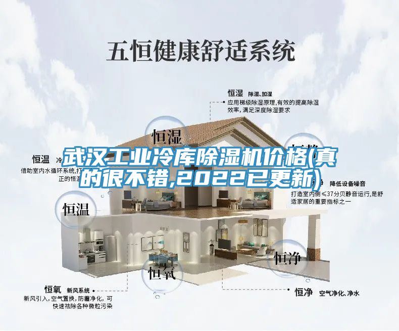 武漢工業冷庫除濕機價格(真的很不錯,2022已更新)