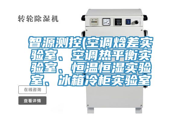 智源測控(空調焓差實驗室、空調熱平衡實驗室、恒溫恒濕實驗室、冰箱冷柜實驗室