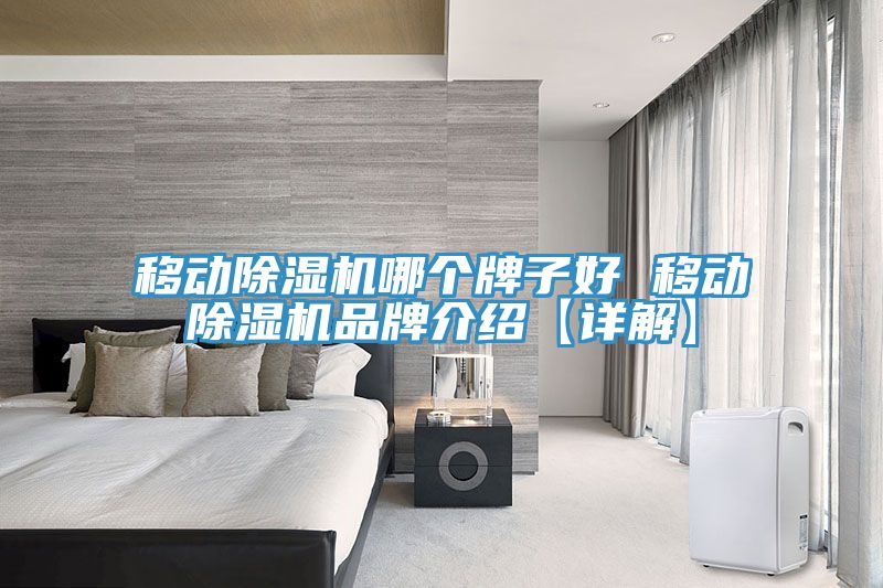 移動除濕機哪個牌子好 移動除濕機品牌介紹【詳解】