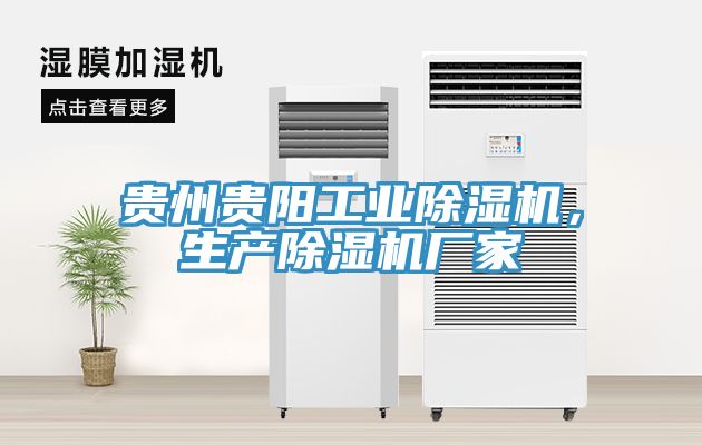 貴州貴陽(yáng)工業(yè)除濕機(jī)，生產(chǎn)除濕機(jī)廠家