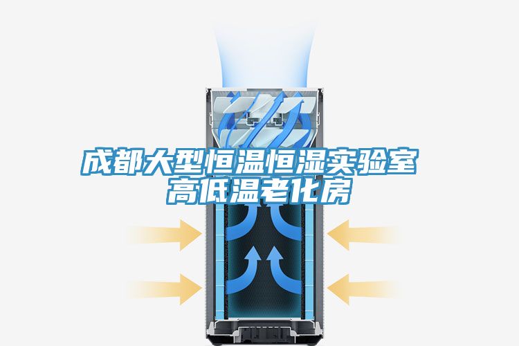 成都大型恒溫恒濕實驗室 高低溫老化房