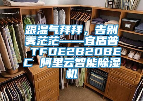 跟濕氣拜拜,告別霧茫茫——宜盾普 TFDE2B20BEC 阿里云智能除濕機