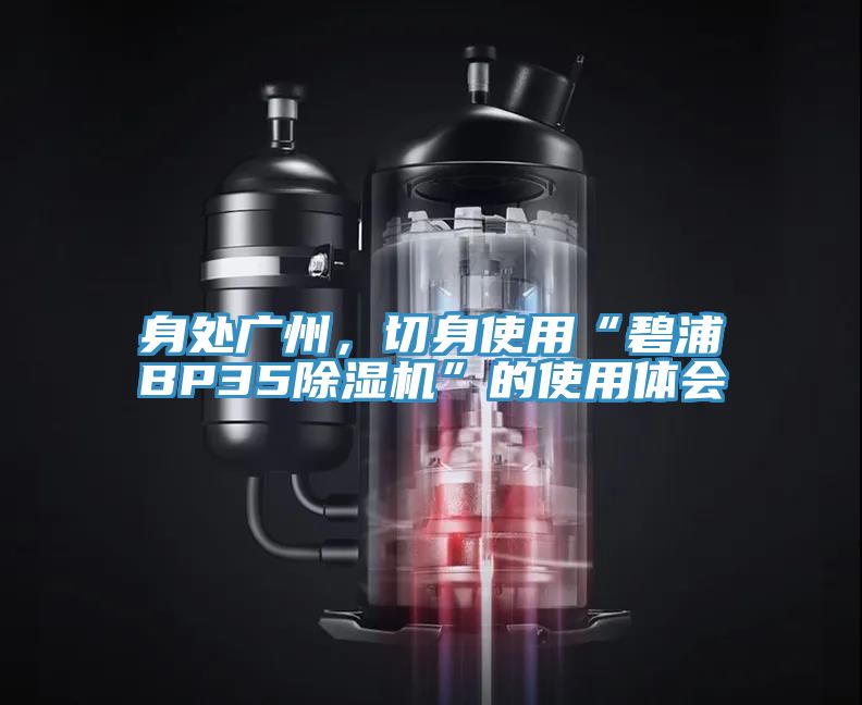 身處廣州,切身使用“碧浦BP35除濕機”的使用體會