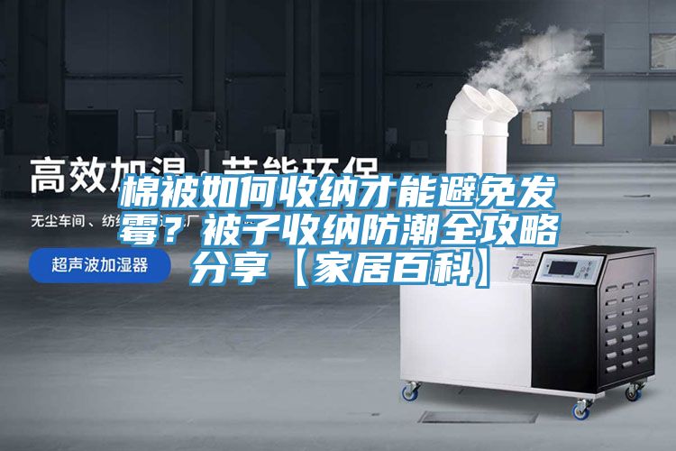 棉被如何收納才能避免發(fā)霉？被子收納防潮全攻略分享【家居百科】