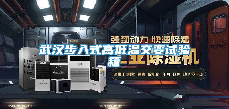 武漢步入式高低溫交變試驗箱