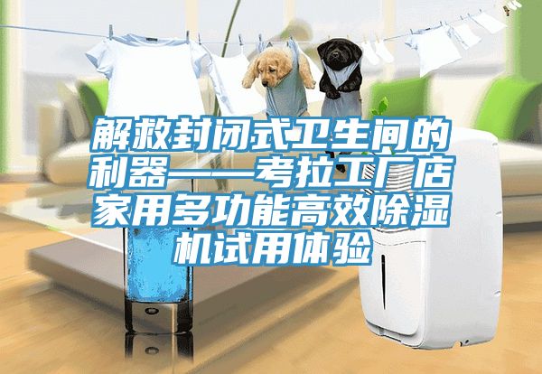 解救封閉式衛生間的利器——考拉工廠店家用多功能高效除濕機試用體驗