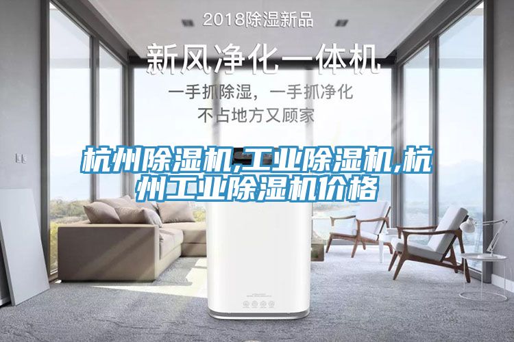 杭州除濕機(jī),工業(yè)除濕機(jī),杭州工業(yè)除濕機(jī)價格