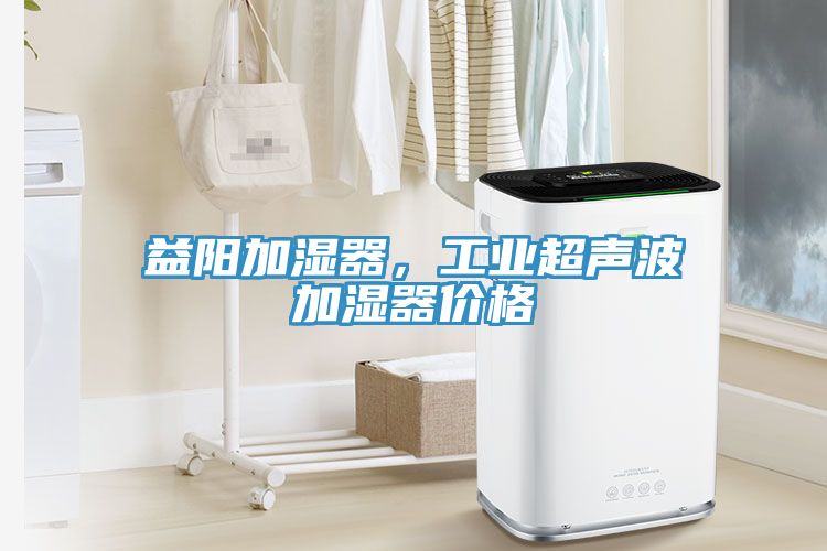 益陽加濕器，工業超聲波加濕器價格