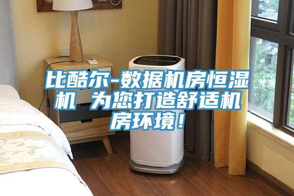 比酷爾-數據機房恒濕機 為您打造舒適機房環(huán)境！