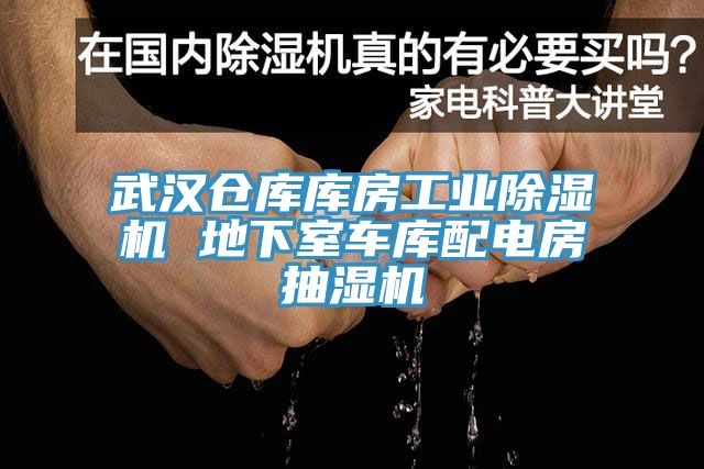 武漢倉庫庫房工業除濕機 地下室車庫配電房抽濕機