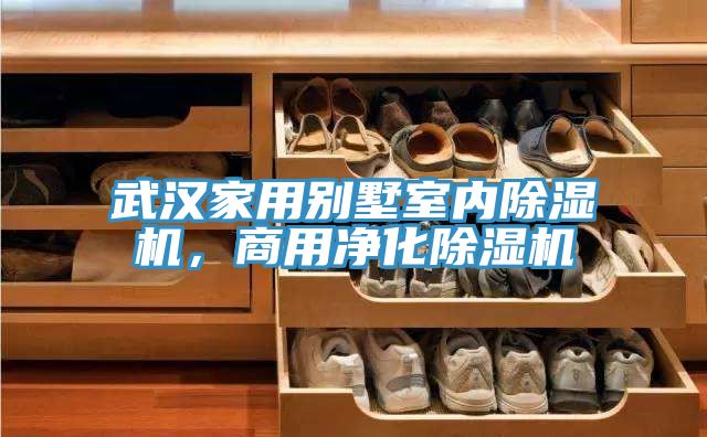 武漢家用別墅室內除濕機，商用凈化除濕機