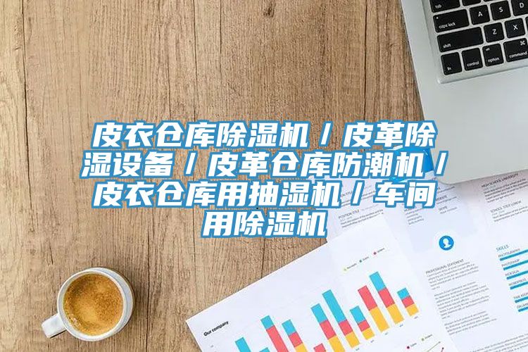 皮衣倉庫除濕機／皮革除濕設備／皮革倉庫防潮機／皮衣倉庫用抽濕機／車間用除濕機