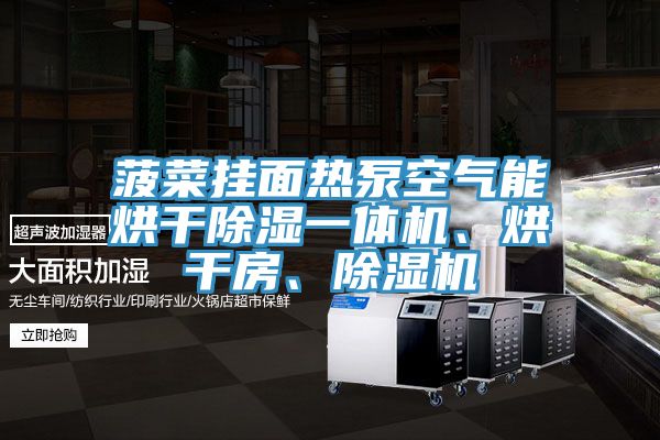 菠菜掛面熱泵空氣能烘干除濕一體機(jī)、烘干房、除濕機(jī)