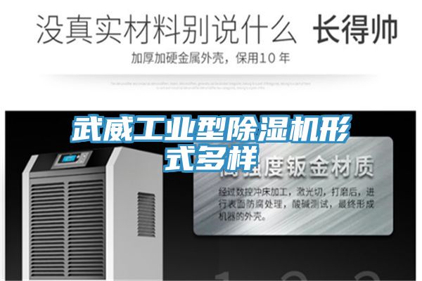 武威工業型除濕機形式多樣