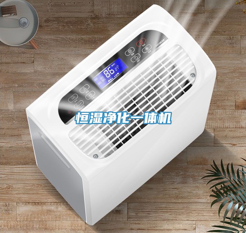 恒濕凈化一體機