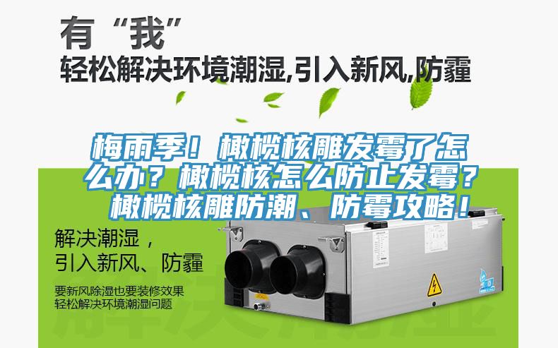 梅雨季！橄欖核雕發霉了怎么辦？橄欖核怎么防止發霉？ 橄欖核雕防潮、防霉攻略！