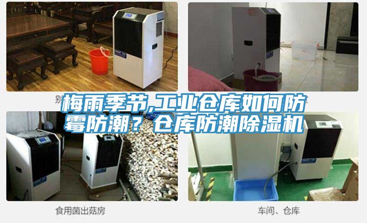 梅雨季節,工業倉庫如何防霉防潮？倉庫防潮除濕機