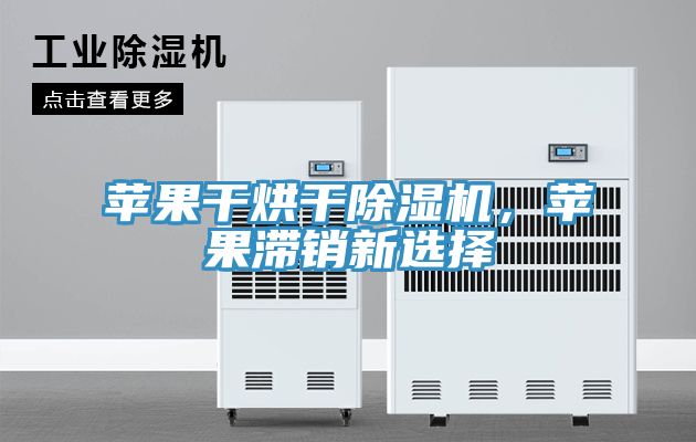 蘋(píng)果干烘干除濕機(jī)，蘋(píng)果滯銷(xiāo)新選擇