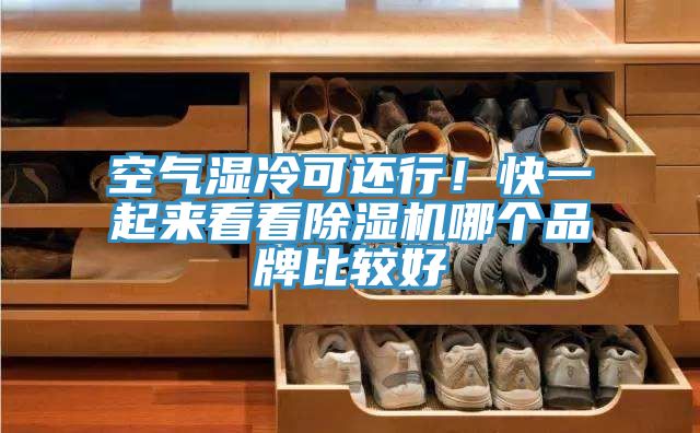 空氣濕冷可還行！快一起來看看除濕機哪個品牌比較好