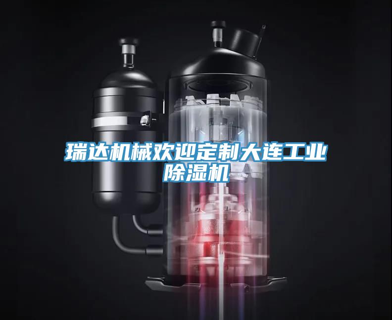 瑞達機械歡迎定制大連工業除濕機
