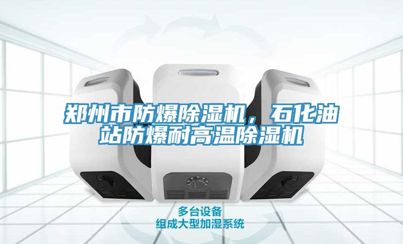 鄭州市防爆除濕機(jī)，石化油站防爆耐高溫除濕機(jī)