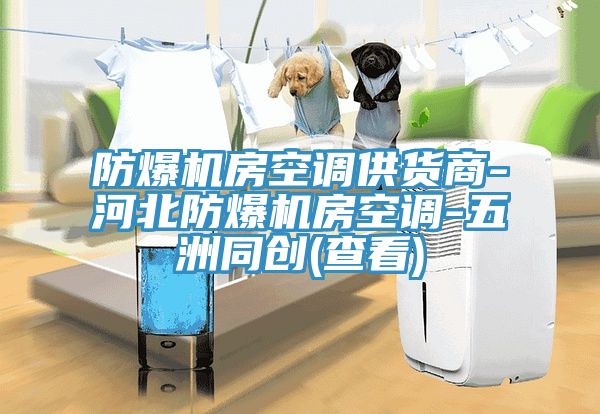 防爆機(jī)房空調(diào)供貨商-河北防爆機(jī)房空調(diào)-五洲同創(chuàng)(查看)