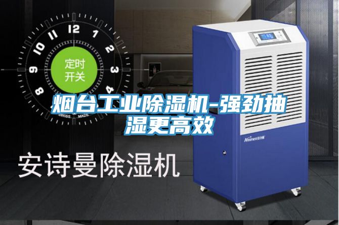 煙臺工業(yè)除濕機(jī)-強(qiáng)勁抽濕更高效