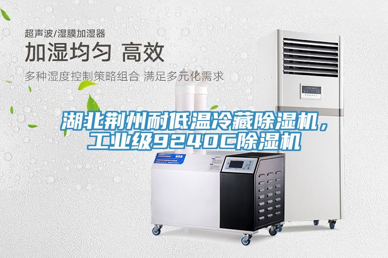湖北荊州耐低溫冷藏除濕機(jī)，工業(yè)級(jí)9240C除濕機(jī)