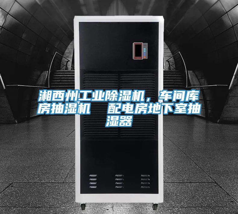 湘西州工業除濕機，車間庫房抽濕機  配電房地下室抽濕器