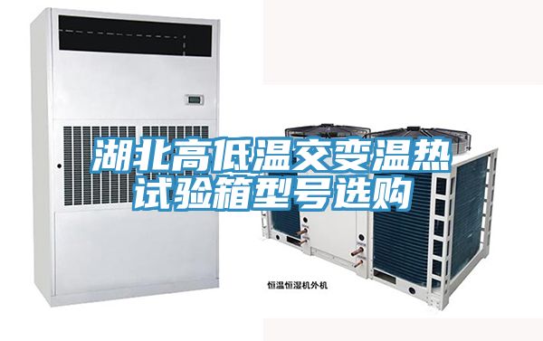湖北高低溫交變溫?zé)嵩囼?yàn)箱型號(hào)選購(gòu)